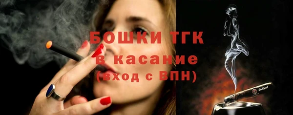 крисы Няндома