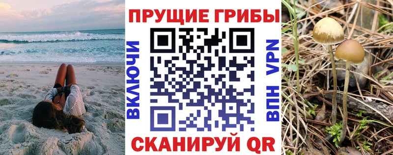 Псилоцибиновые грибы MAGIC MUSHROOMS  Купить закладки  Александровск 